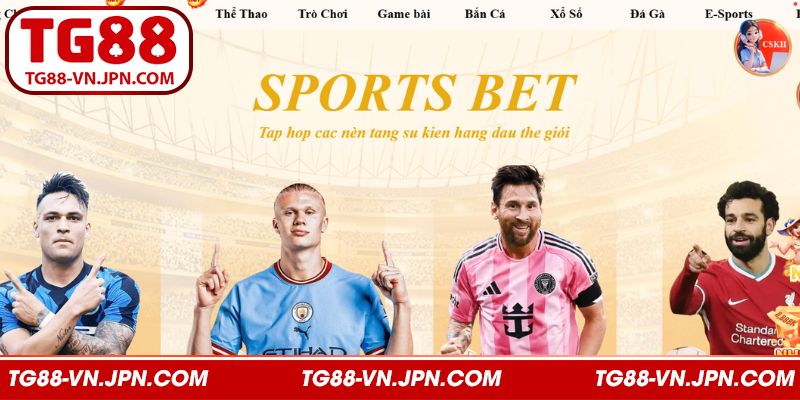 Tham gia cược thể thao đa dạng bộ môn