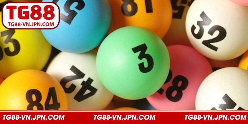 Tìm hiểu về rồng bạch kim tại trang chủ