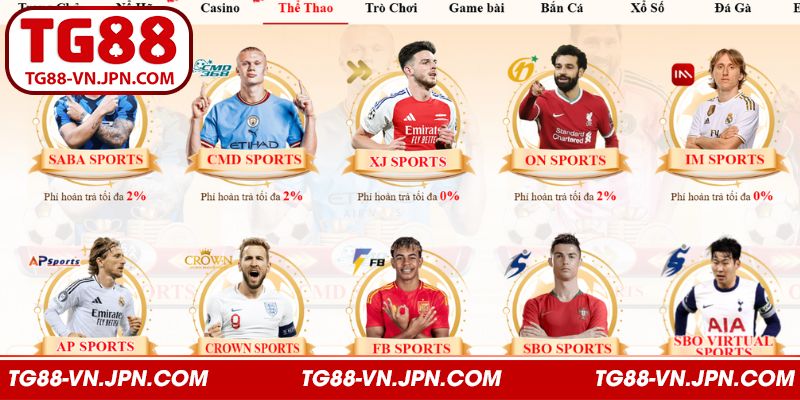 Top những đối tác đồng hành cùng sảnh